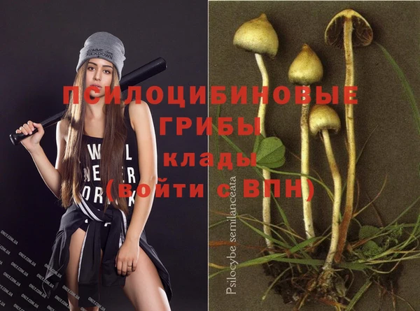 прущая мука Баксан